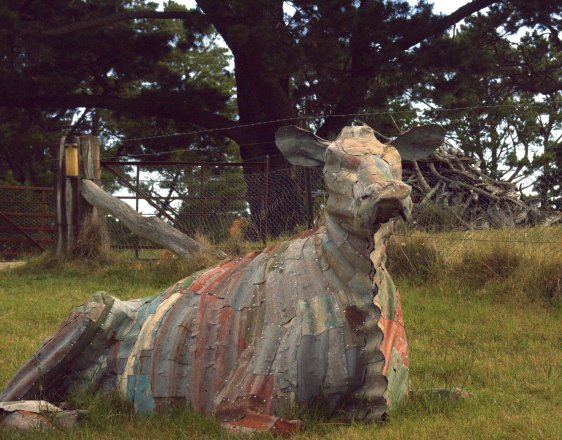 the objectification of bovines