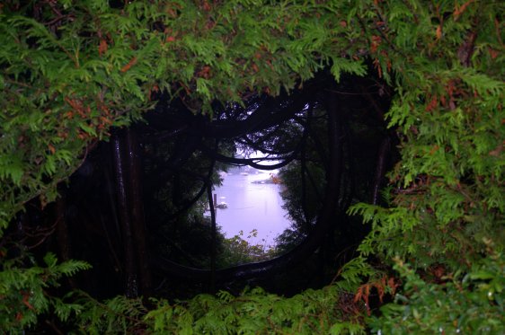 Take care to notice the world around you