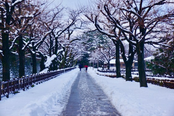 13D28F44-108C-433D-A405-1F17469AA68E